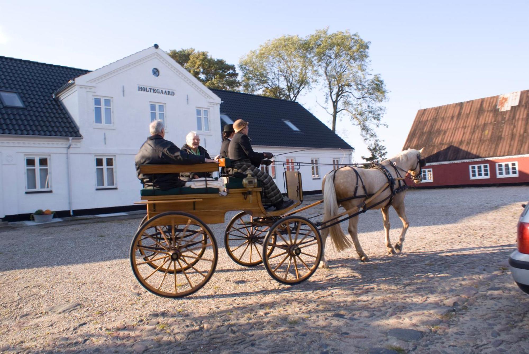 Holtegaard Bed & Breakfast Dronninglund Eksteriør billede
